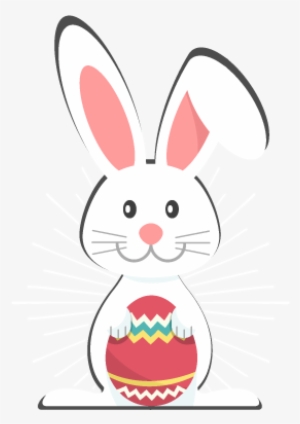 Bunny - Domestic Rabbit