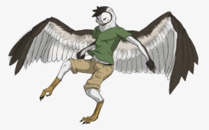 Drawn Furry Male Angel - Owl Furry Male