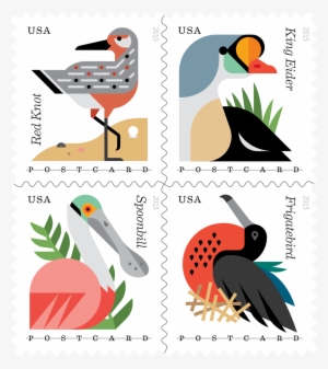 Coastal Birds Stamps Sheet Of 20 Postcard Forever Usps