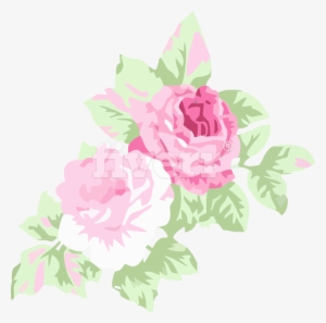 Garden Roses