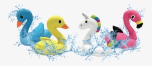 Freeze 'n' Float Collection