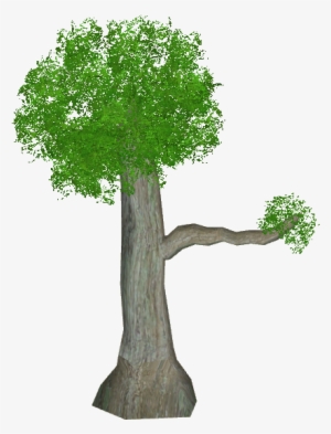 Small Perching Tree - Illustration