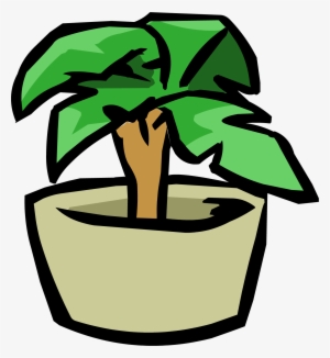 Small House Plant