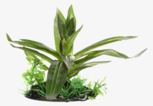 This Beautiful Fluval Decorative Plant Adds A Realistic - Fluval Giant Sagittaria - Small - 10 Cm (4 )