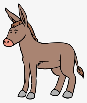 Imagen Burro