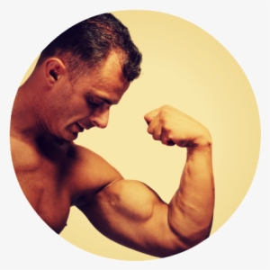 Testosterone And Muscle Growth - Stock Photography
