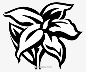 Jasmine Royalty Free Vector Clip Art Illustration - Jasmine Vector