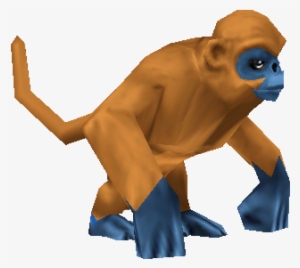 She Is An Orange Monkey, With Grey Eyes - Wiki