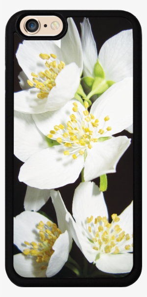 Jasmine Flowers Case - Der Duft Des Jasmins