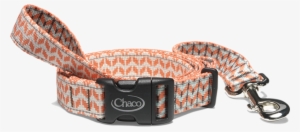 Chaco Dog Leash - Chaco