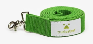 Product Image 1 - Dog