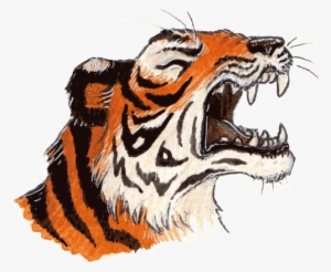 Power Of A Tiger - Siberian Tiger