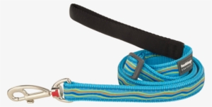 Red Dingo Dreamstream Turquoise Dog Leash Medium