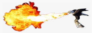 Fire Breathing Dragon Png Download - Fire Breathing Bald Eagle