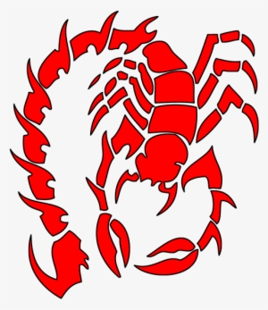 Png Image Information - Red Scorpion Tribal