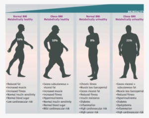 A Graphic Description Of Metabolically Healthy And - 18.5 Bmi