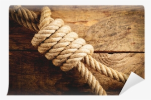 Knot
