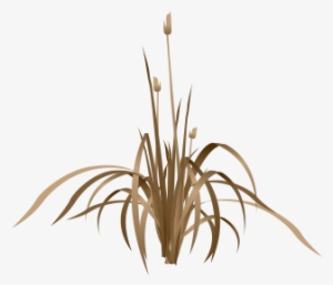 Start Over - - Plantas De Agua