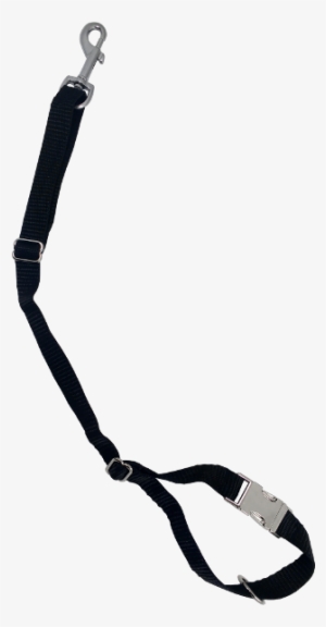 Thumbnail 1 - Thumbnail