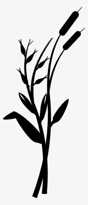 Small - Wide Grass Clip Art