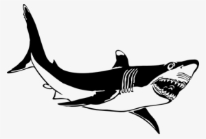 Shark Animal Fierce Fish Nature Stencil Su - Great White Shark Clip Art
