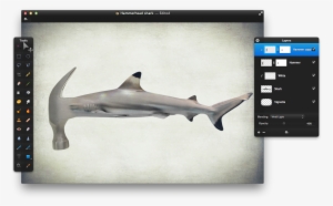 Then Go To Image>invert Color - Hammerhead Shark