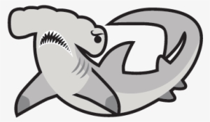 Hammerhead Shark Hammerhead Shark