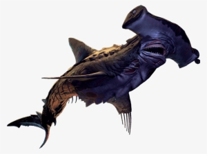 Old - Depth Old Bones Hammerhead