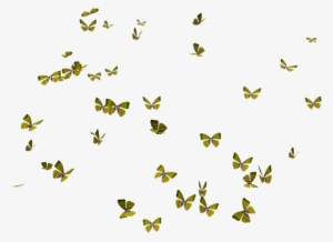 Flying Butterflies Png - Butterflies
