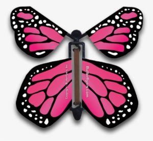 Pink Monarch Magic Flying Butterfly - Flying Butterfly Card