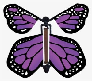 Our Perfect Purple Wind Up Flying Paper Butterfly Is - Flying Butterfly Card