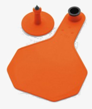 Ytex Blank 2 Piece Tag - Y-tex Corporation