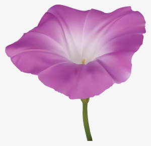 Morning Png