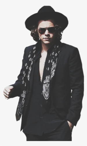 Overlay, Png, And Pngs Image - Cool Photos Of Harry Styles