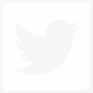 Twitter Logo White Box
