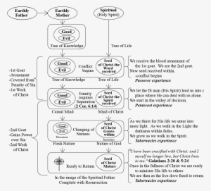 We Conclude This Part Of The Lesson With An Overall - Line Art
