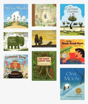 "beyond The Lorax" - Curious Garden