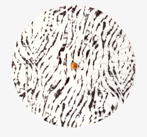 Next - Sun Protective Clothing