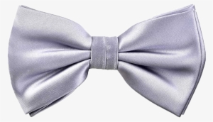 Edison Bow Tie In Silver - Transparent Silver Bow Tie