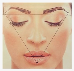 Curve Brows Certification Program - Golden Ratio In Eyebrows