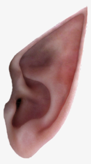 Elf Ears PNG, Free HD Elf Ears Transparent Image - PNGkit