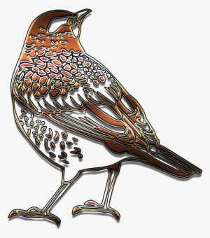 Outline Bird Beautiful - Outline Of Starling