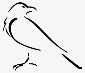 Announcing Bird Outline Drawing Free Image On Pixabay - Crow Line Art