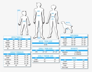 Secret Wishes Costumes Size Chart Woman