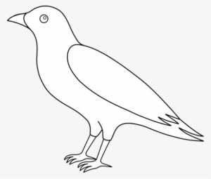 Bird Outline Clip Art - Out Line Images Of Crow