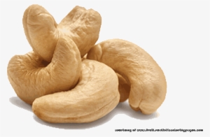 Cashew Nut Illustrations Pictures - Cashew Nut Illustration