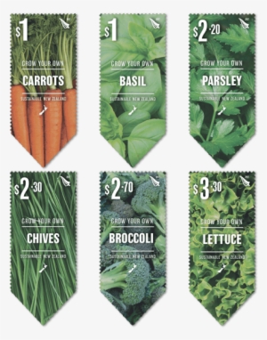 A Great Way To Save Money, Feel Good And Eat Healthy - Sustainable Development