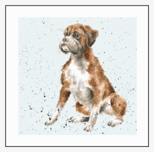 Boxer Dog Greeting Or Birthday Card - Wrendale A Dogs Life Boxer Dog Card