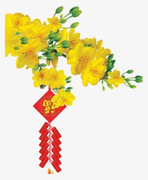 Hoa Mai Hoa Đào - Tet