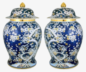 Choé Hoa Mai Vàng Kim - Ochna Integerrima